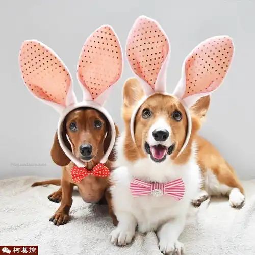 有一种朋友,叫做闺蜜