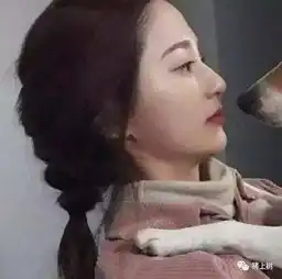 分享一些丧心病狂的情侣头像第一组我就笑了半天