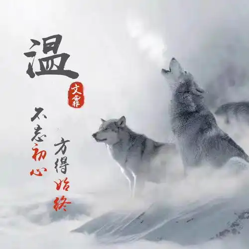 错过很难刷到的治愈系头