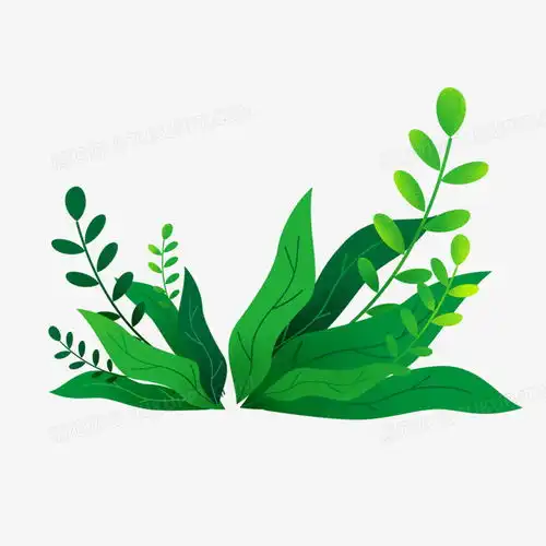 手绘卡通草坪免抠元素png图片素材免费下载卡通png30003000像素熊猫办公
