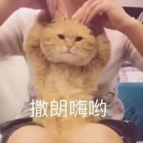 王思聪竟成了全网最佳前男友这波操作过于优秀哈哈哈