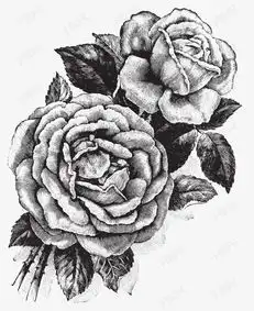 手绘插画玫瑰花矢量素材图片免费下载高清png千库网图片编号9779485