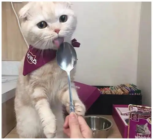 爆笑段子陈叔叔夸我作业好,于是抱起了我妈