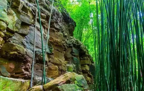 安逸成都首座玻璃栈道五一开放,最高落差150米,免费耍