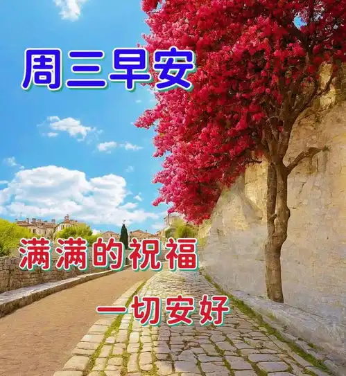2024年5月8日周三早安温馨祝福图片,温暖问候祝福语大全周三晨安愉快快乐清晨网易订阅