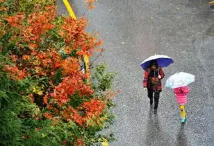 今年冬天青岛真的会偏冷吗听听气象专家怎么说