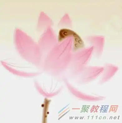 cdr怎么绘制水墨画中的粉色荷花