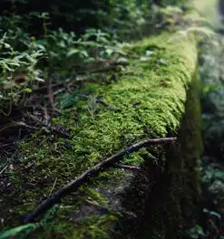 男人带娃成现实版荒野求生为啥大多数讴歌车主都这么干