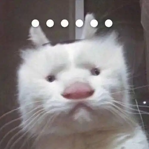 表情包抖音热门圣诞节撒礼物表情包