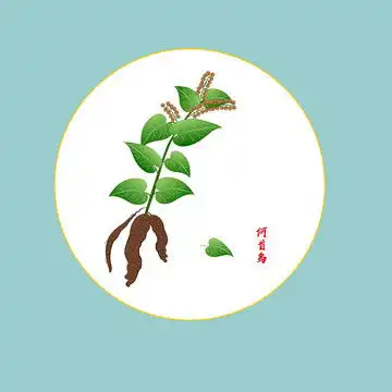 卡通新郎新娘