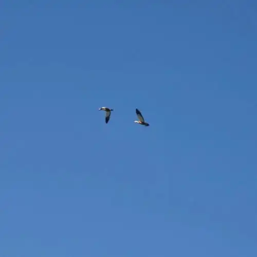 蓝色系背景男头像治愈