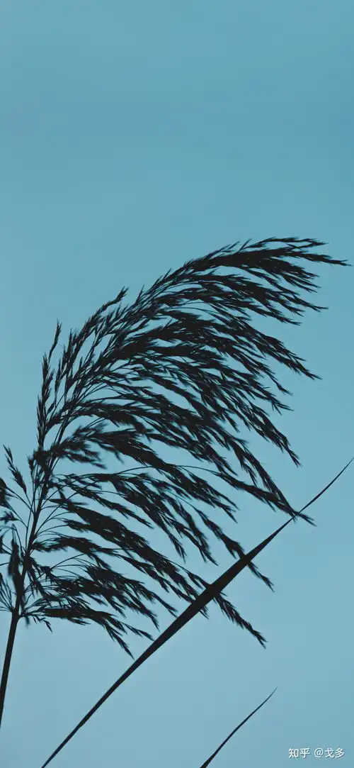 50句很丧的朋友圈文案