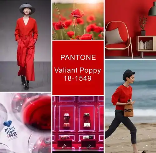 寒意初降,2018秋冬流行色缤纷暖色系