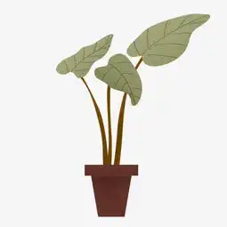 绿色的清新装饰花盆图片素材其他格式下载动漫人物大全