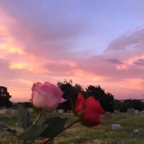 我对你除了故作姿态的勇敢,剩下的全是欲盖弥彰的喜欢腾讯新闻