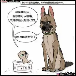 小奶猫vs大狼狗,这cp真好嗑