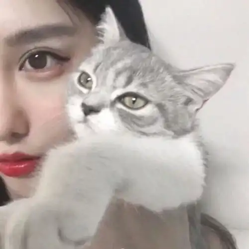 女追男真的会有好结果吗