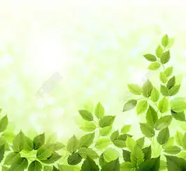 精美绿叶背景矢量素材模板免费下载psd格式编号13221391千图网