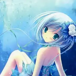 关注