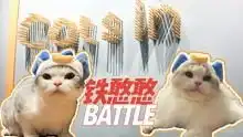 日系猫隐小院的猫生活高清正版视频在线观看