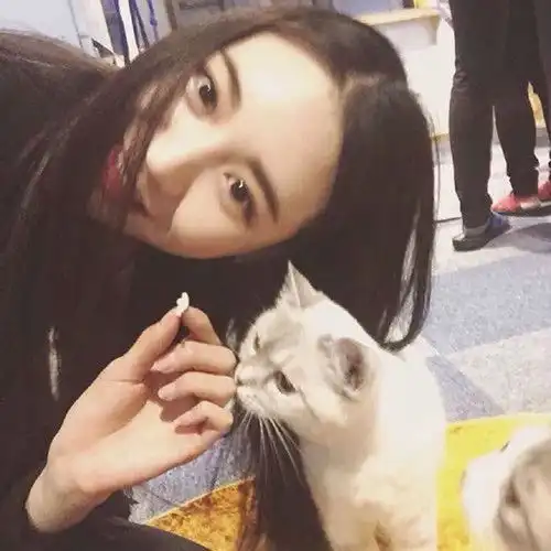 配一张男情头,猫颜色也要白的