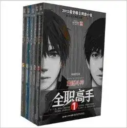 全职高手系列17全集