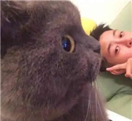 一只养在男生宿舍的猫,被男生们宠上了天,你不怕女朋友吃醋吗