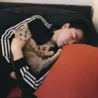 男生抱猫头像唯美图片