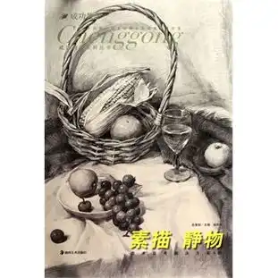 成功教学系列丛书美术高考解决方案a05素描静物