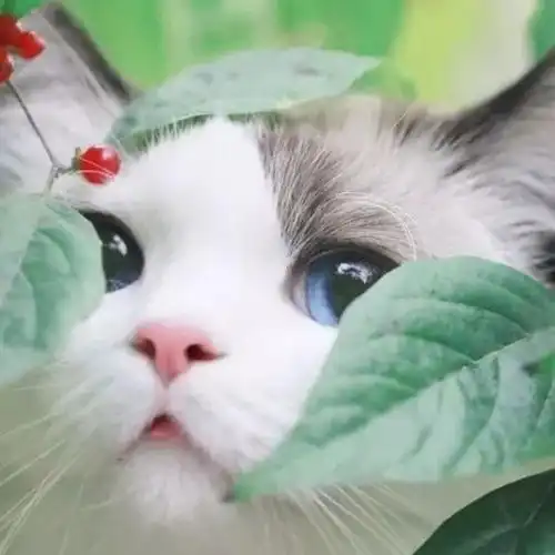 爱居兔焕新怎么样设计案例电话地址口碑评价土巴兔装修网