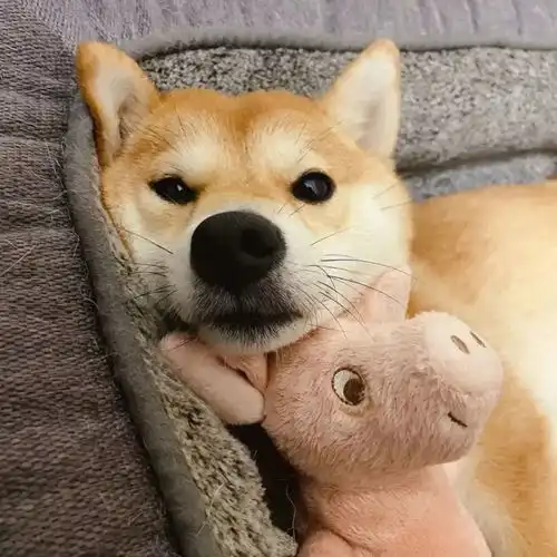 头像曾经年少轻狂