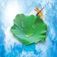 禅意男头像图片大全微信头像图片大全