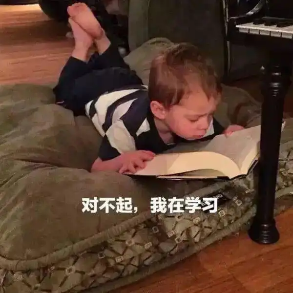 2021,从头像开始,那些一看就在好好学习的头像