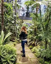 立夏到啦,快来感受一下热带雨林设计的魅力