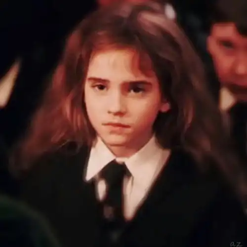 你见过最好看的哈利波特头像是什么