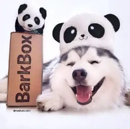 我凭本事拆家,你为什么封印我