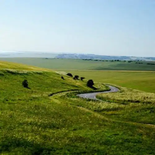 清新绿色风景头像,绿色辽阔的草原风景图片