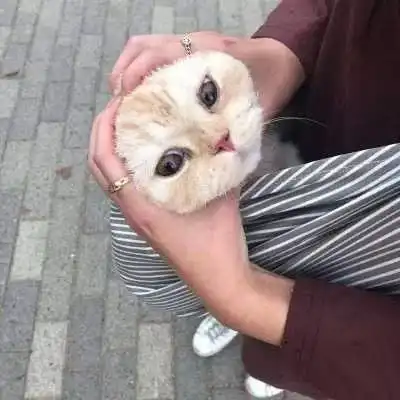 逗比头像搞怪奇葩