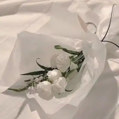 白色背景图系世间人五人六你讨风景静物头像我要个性网
