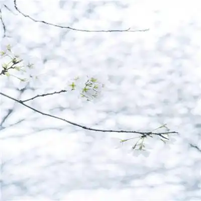 港澳宝11333
