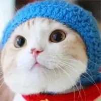 可爱的小动物头像情侣微信头像图片大全