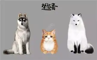 楚留香手游宠物系统玩法曝光种族繁衍培养全新新萌宠