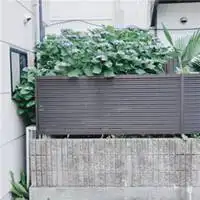 淡雅高贵风景头像的图片