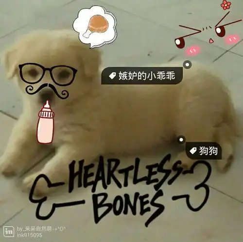 什么软件做标签头像快快快例如下面的那副图不要ps.美图秀秀