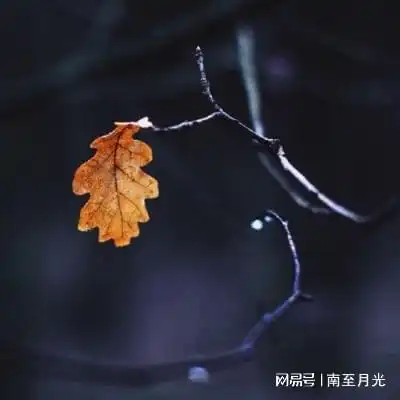 adobeaftereffects图形视频处理软件下载ae全系列破解版下载