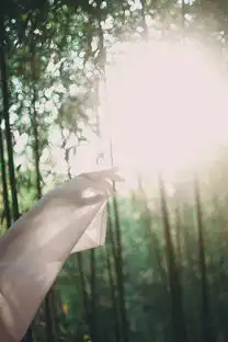 治愈系女生竹林中清新森系美女