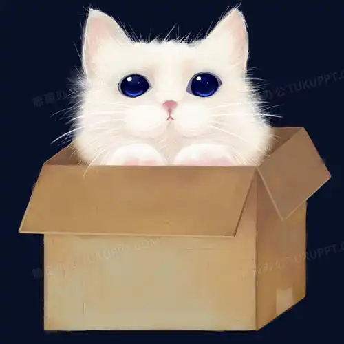 小猫卡通头像自制