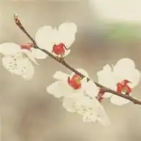 海中意境气质头像微信头像图片大全