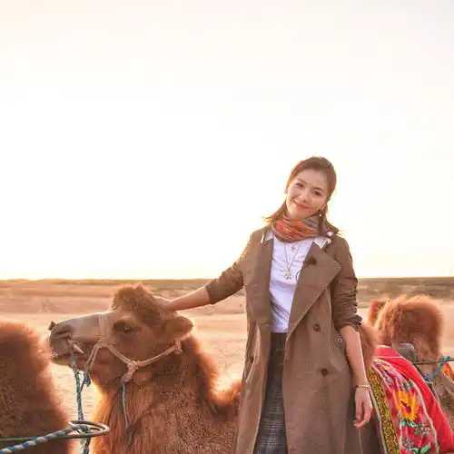 骆驼和美女肖像头像