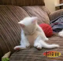 精彩高清图推荐